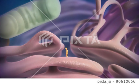 Cell nucleus and protein 3d Cell nucleus and protein 3d 90610656