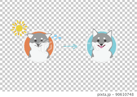 日差しに当たって困る黒柴のビフォーアフターアイコンイラストのイラスト素材
