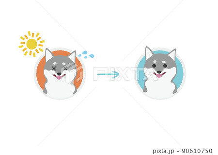 日差しに当たって汗をかく黒柴のビフォーアフターアイコンイラストのイラスト素材