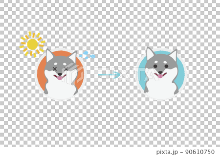 日差しに当たって汗をかく黒柴のビフォーアフターアイコンイラストのイラスト素材