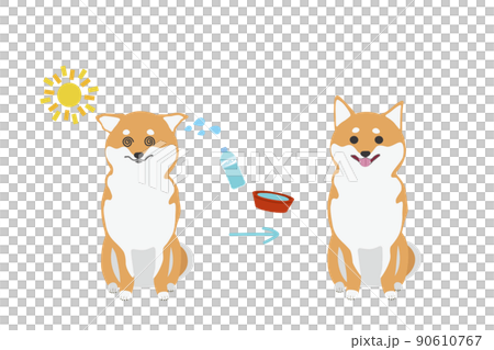 Before-after illustration of Shiba Inu looking around in the sun Before-after illustration of Shiba Inu looking around in the sun 90610767