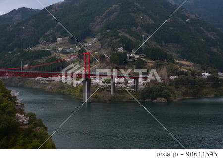 大渡ダム大橋(高知県吾川郡仁淀川町) 大渡ダム大橋(高知県吾川郡仁淀川町) 90611545