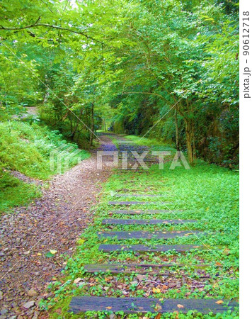 旧福知山線の廃線24 旧福知山線の廃線24 90612718