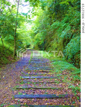 旧福知山線の廃線25 森の中 旧福知山線の廃線25 森の中 90612719