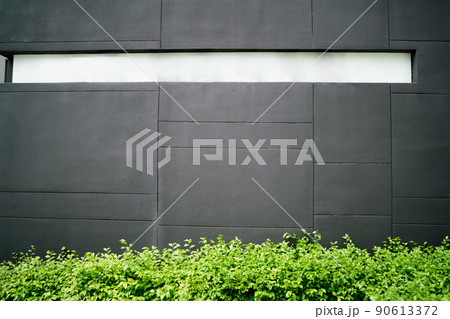 Gray wall of building and green plants Gray wall of building and green plants 90613372