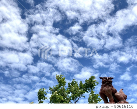 沖縄の守り神シーサーと青い空 90616116
