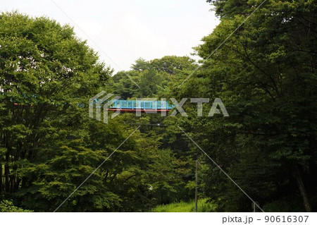 アドベンチャーブリッジ 宇都宮タワー 八幡山公園展望塔 八幡山公園展望塔タワー 電波塔 八幡山公園 アドベンチャーブリッジ 宇都宮タワー 八幡山公園展望塔 八幡山公園展望塔タワー 電波塔 八幡山公園 90616307