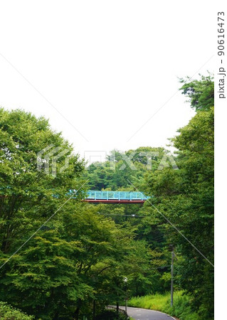 アドベンチャーブリッジ　宇都宮タワー　八幡山公園展望塔　八幡山公園展望塔タワー　電波塔　八幡山公園　 90616473