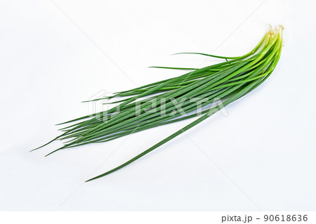 青ねぎ（博多万能ねぎ） 90618636