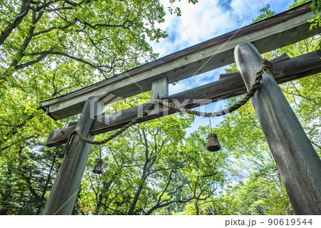 戸隠神社奥社 大鳥居 戸隠神社奥社 大鳥居 90619544