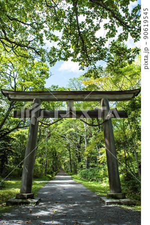 戸隠神社奥社 大鳥居 戸隠神社奥社 大鳥居 90619545