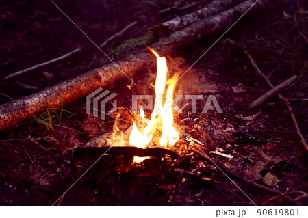 Fire in the forest. Bright flame Fire in the forest. Bright flame 90619801