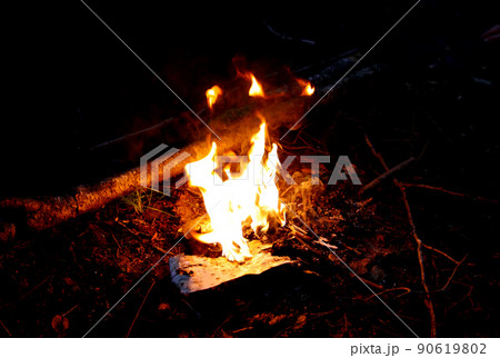 Fire in the forest. Bright flame 90619802