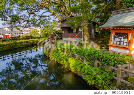 鹿児島県霧島市の鹿児島神宮 90619951
