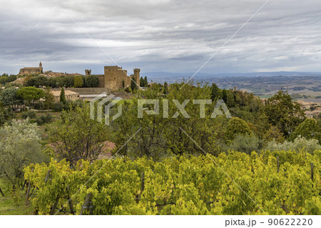 Tuscany's most famous vineyards near town Montalcino in Italy Tuscany's most famous vineyards near town Montalcino in Italy 90622220
