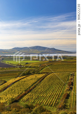 Vineyards under Palava, Southern Moravia, Czech Republic 90622230