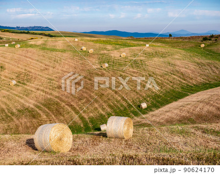 Hay bales on the field at sunset, Tuscany, Italy Hay bales on the field at sunset, Tuscany, Italy 90624170