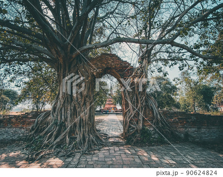Wat Phra Ngam ruin temple in Ayutthaya, Thailand Wat Phra Ngam ruin temple in Ayutthaya, Thailand 90624824