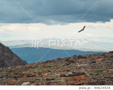 Mountains in the distance with fog. Atmospheric landscape with silhouettes of mountains on background of colorful dawn sky. Eagle flies over a mountain gorge. Sundown in faded tones. 90624928