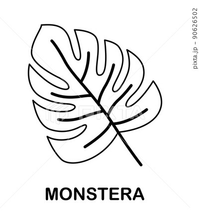Coloring page with Monstera for kids Coloring page with Monstera for kids 90626502