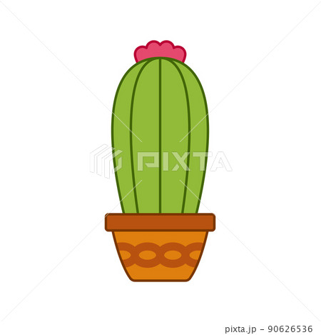 Cactus isolated on white background 90626536