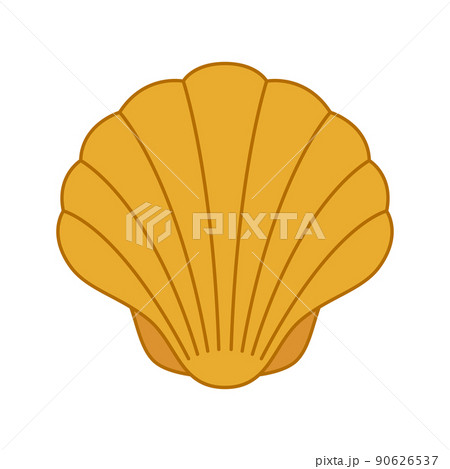 Seashell isolated on white background Seashell isolated on white background 90626537