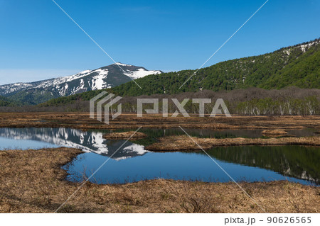 尾瀬 至仏山と池塘の水鏡至仏山 尾瀬 至仏山と池塘の水鏡至仏山 90626565