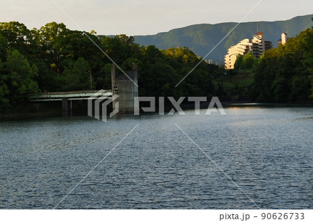 寺ヶ池の早朝の水面 90626733