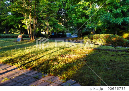 寺ヶ池の朝日 90626735