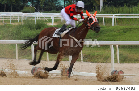 レース 競走馬 夏 90627493