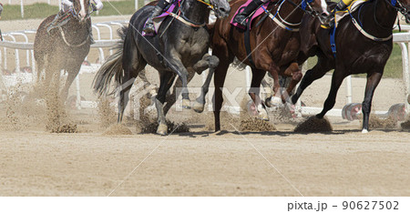 レース 競走馬 疾走 90627502