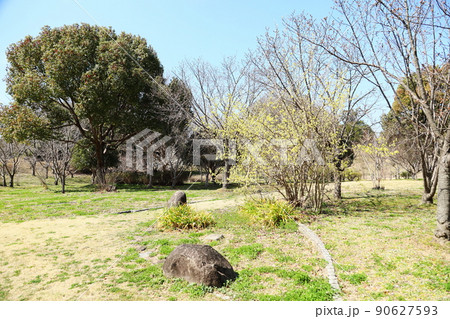 トサミズキの花 90627593