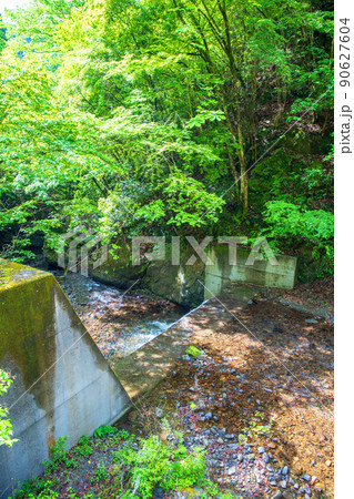 有馬川　有馬渓谷　春　新緑の風景 90627604