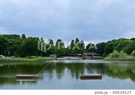 新緑の木々に囲まれた静かな池　水面に青空と緑の木々を写す　静かな鏡面　リフレクション　露出補正強 90628125