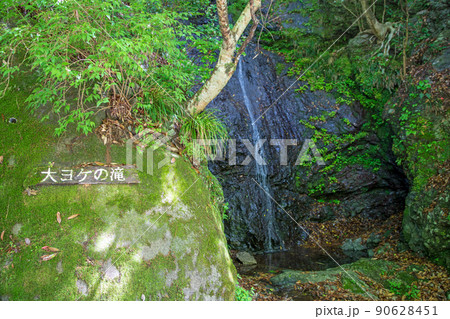 大ヨケの滝　有馬川　有馬渓谷　春　新緑の風景 90628451