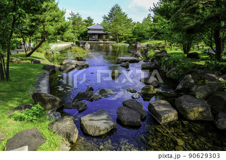 池泉越しに書院住宅を望む 90629303