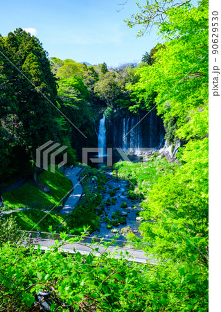 白糸の滝（富士宮市） 90629530