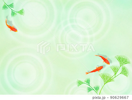 金魚と水面の波紋 雨 和風 夏イメージ 90629667