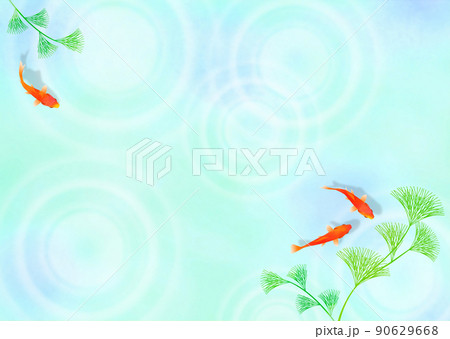 金魚と水面の波紋 雨 和風 夏イメージ 90629668