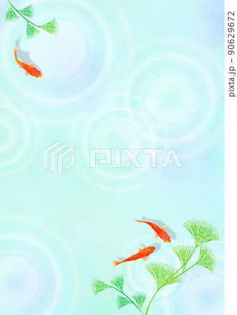 金魚と水面の波紋 雨 和風 夏イメージ 90629672