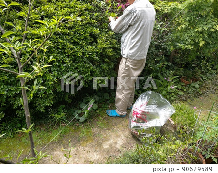 ガーデニング 90629689