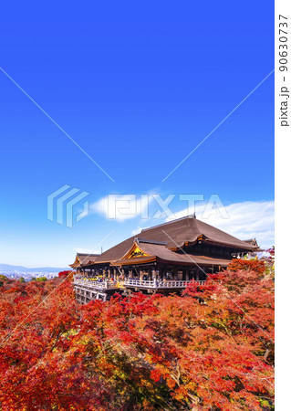 清水寺の舞台と紅葉 90630737