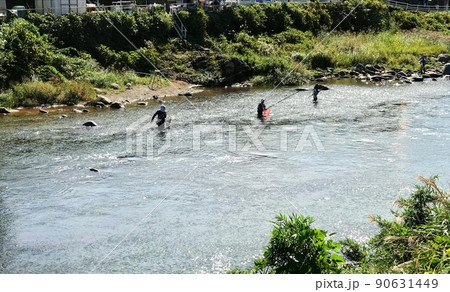 狩野川のアユ釣り 90631449
