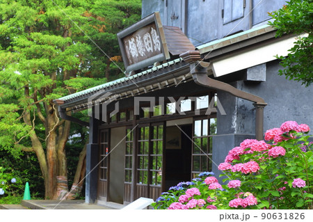 府中市郷土の森博物館　紫陽花 90631826