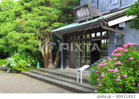 府中市郷土の森博物館 紫陽花 府中市郷土の森博物館 紫陽花 90631832