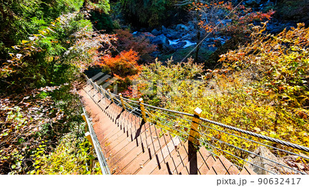 大柳川渓谷(秋) 大柳川渓谷(秋) 90632417