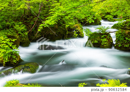 【青森県_奥入瀬渓流】ダイナミックな景観　阿修羅の流れ 90632584