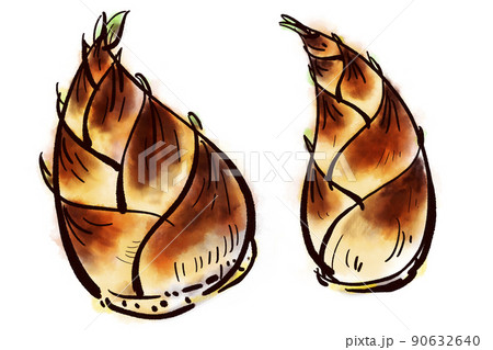 筍（たけのこ）の手書きイラスト（筆書き墨絵風） 90632640