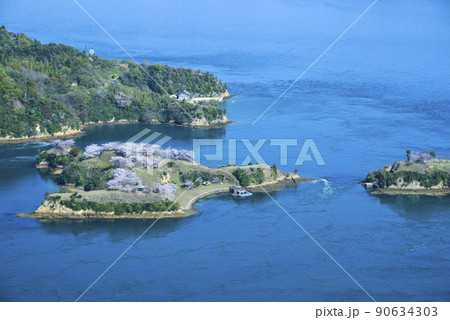 桜咲き誇る能島 90634303