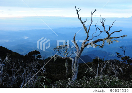 マレーシア、ボルネオ島 キナバル登山の風景 マレーシア、ボルネオ島 キナバル登山の風景 90634536
